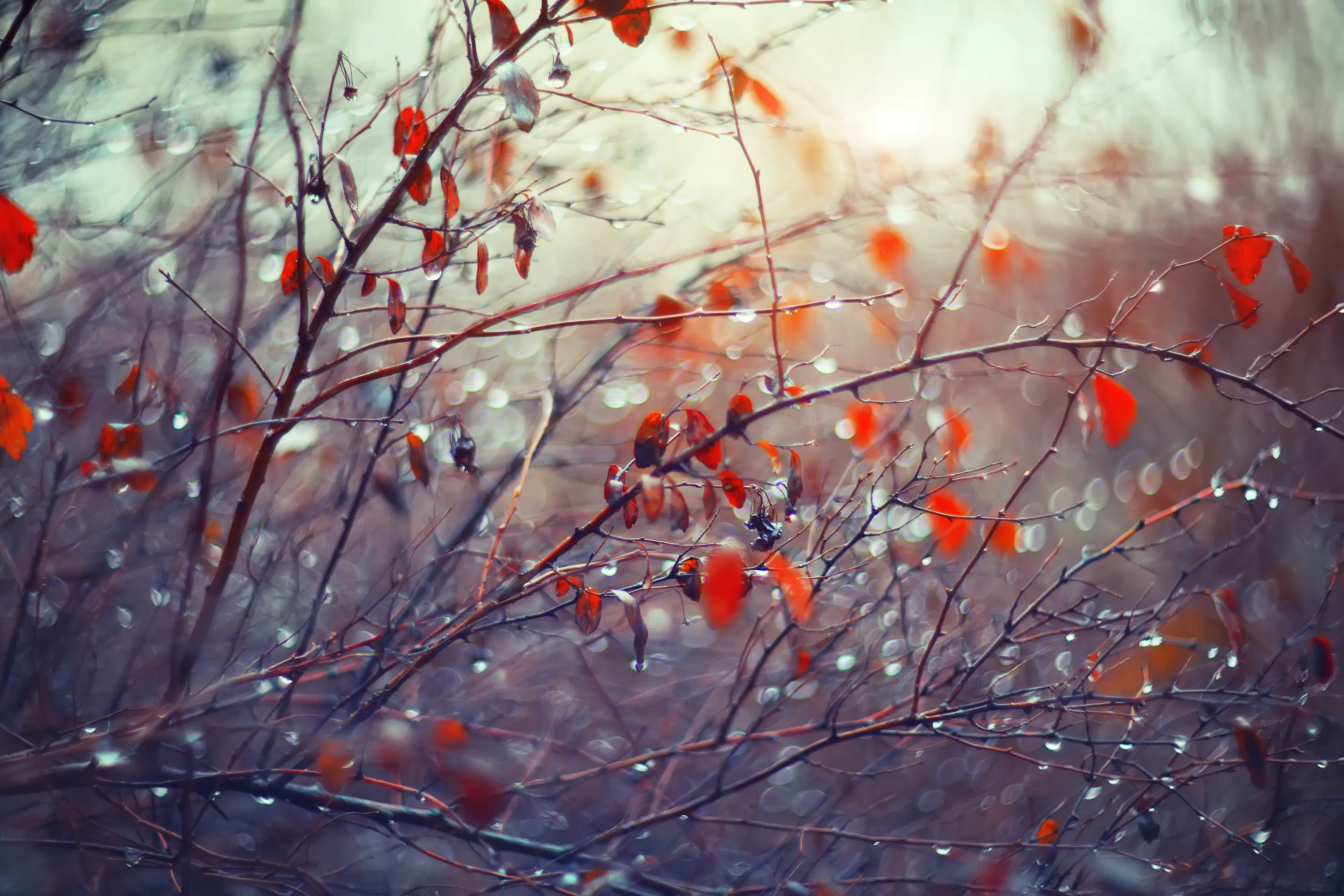 Capitalising on Downtime