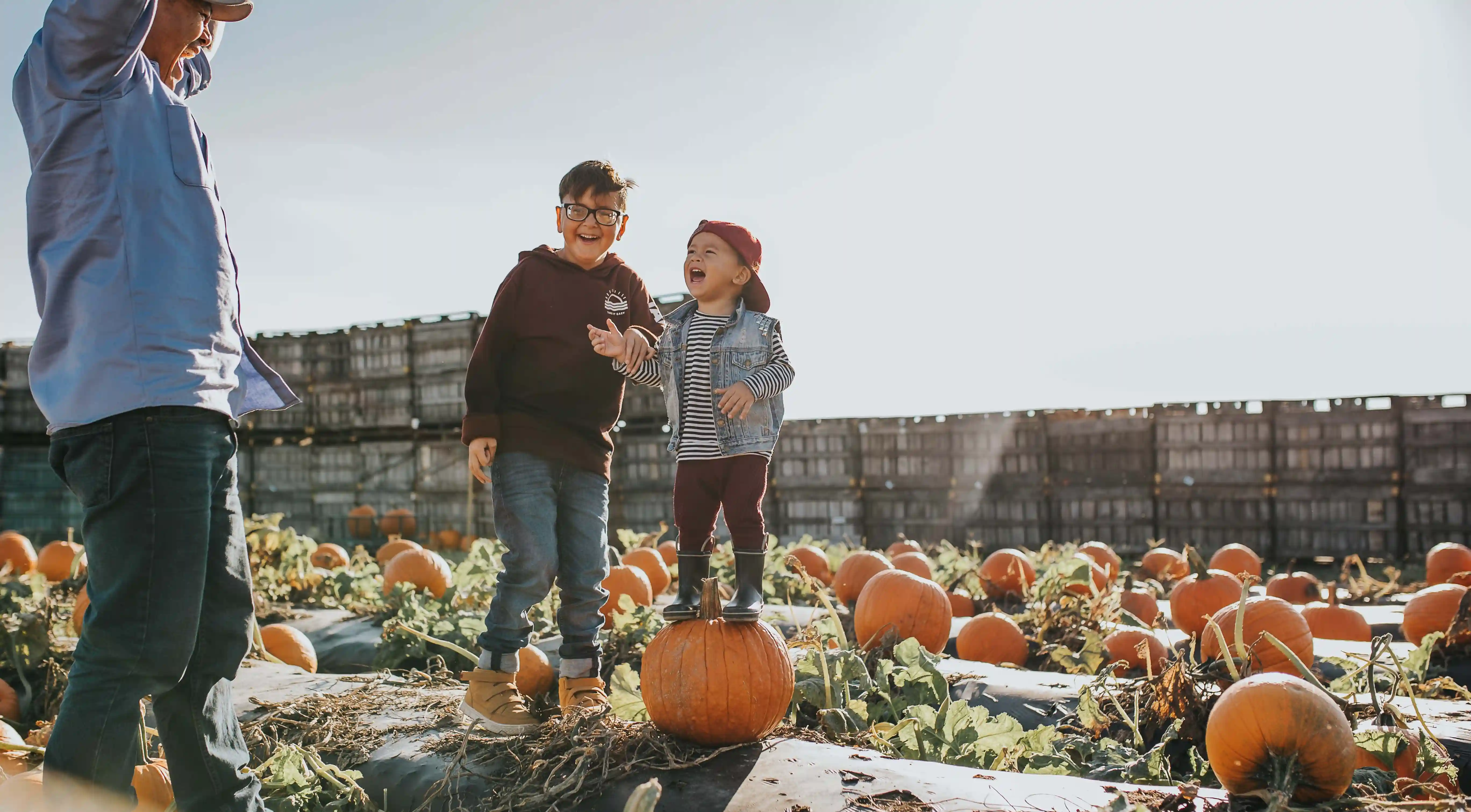 Children playing in a pumpkin picking farm