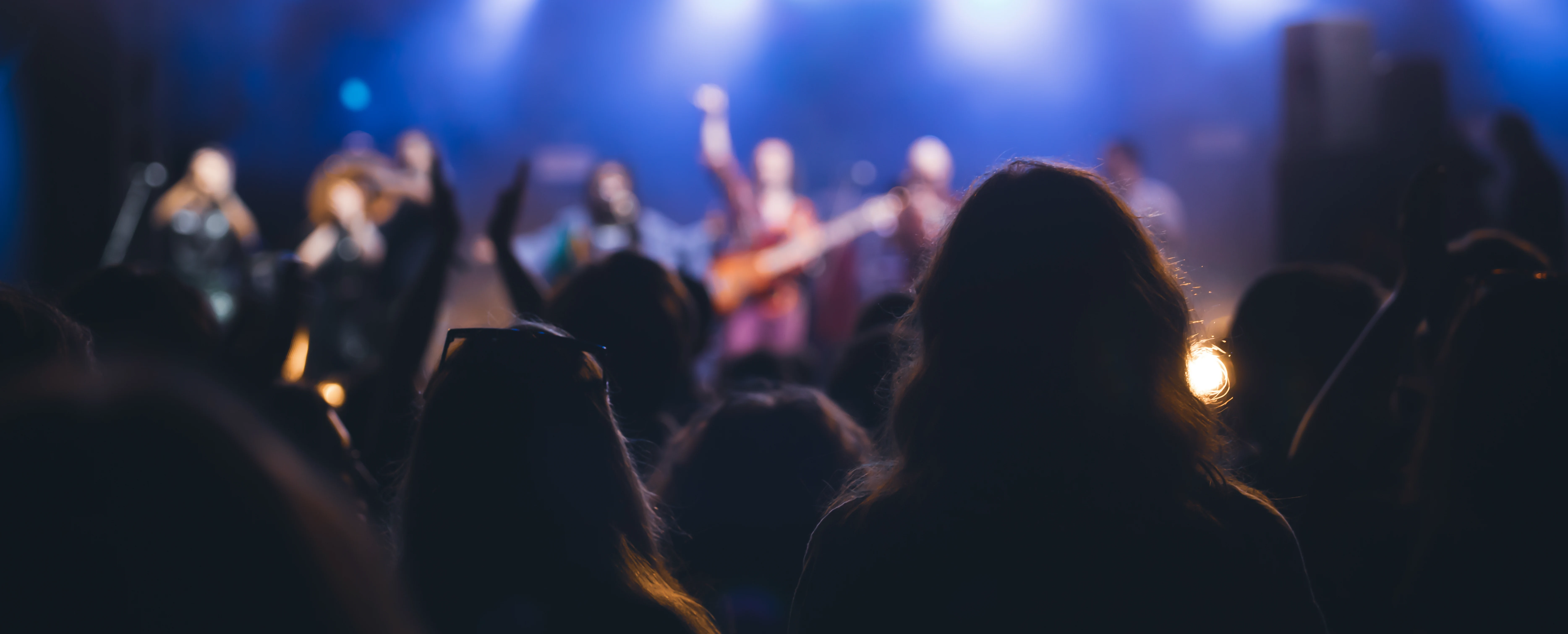 Audience watching a concert.