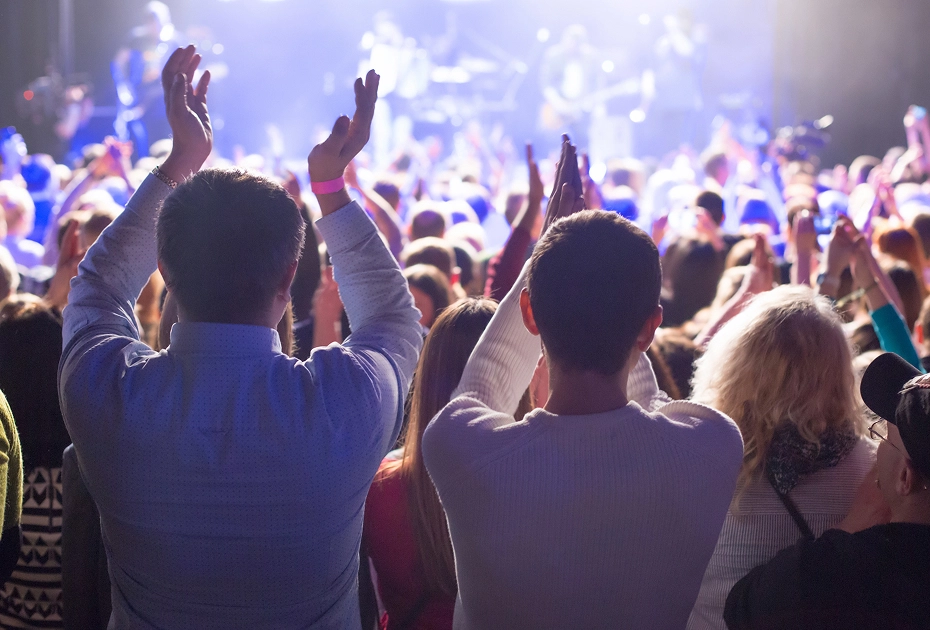 Crowd at a festival